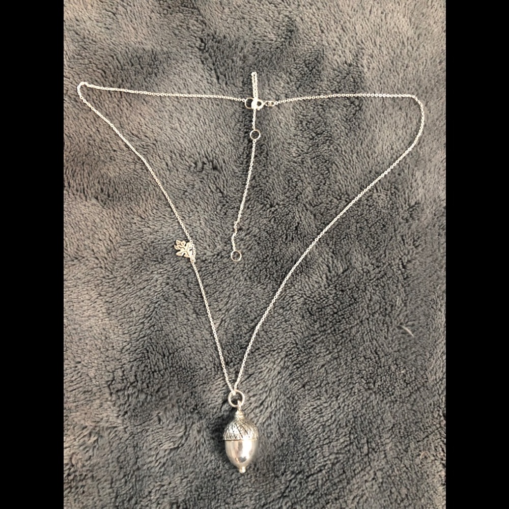 Sterling Silver Acorn Locket Necklace